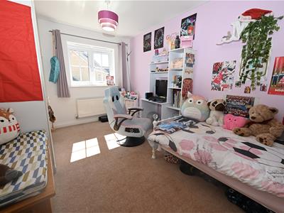 Picture 16